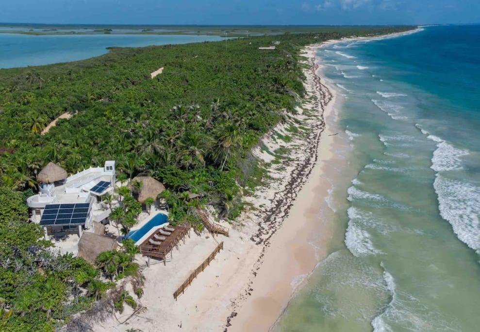 Luxury 5-Br Beachfront Home In Tulum Casa Sofia Gato Eksteriør bilde