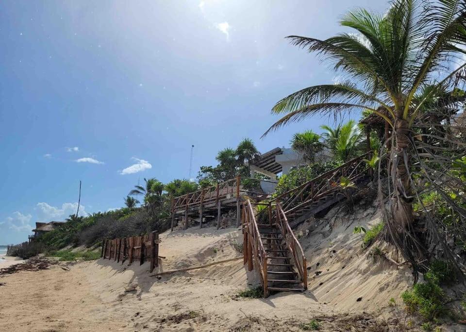 Luxury 5-Br Beachfront Home In Tulum Casa Sofia Gato Eksteriør bilde